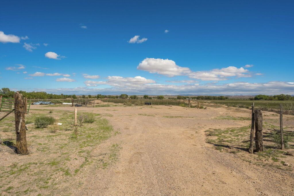 cdcf5bed-ebb5-4514-a84a-67993142a70a.jpg