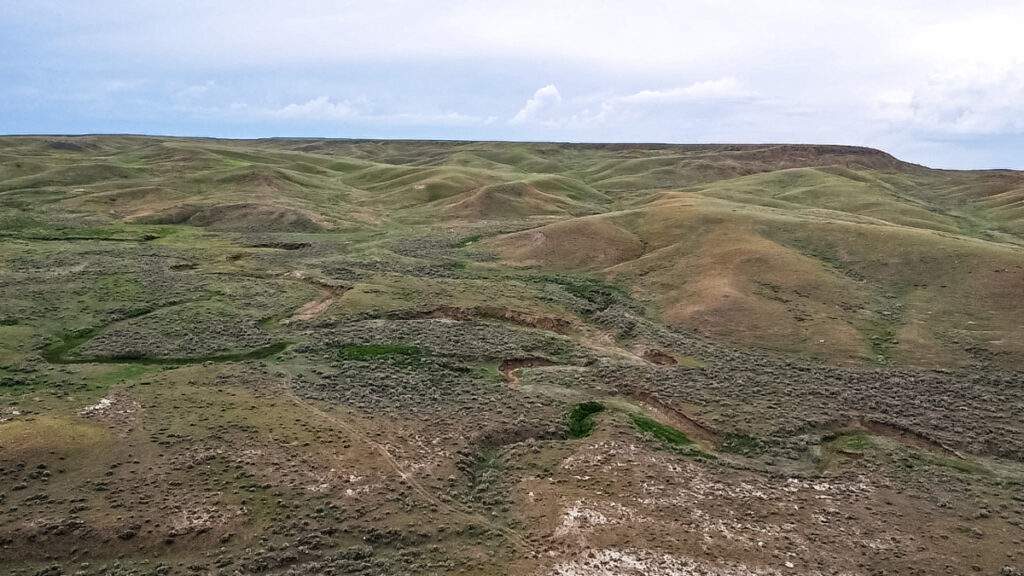 Property photo for land for sale in Phillips County Montana