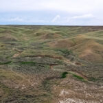 Property photo for land for sale in Phillips County Montana