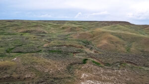 Property photo for land for sale in Phillips County Montana