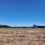 Property photo for land for sale in Duplin County North Carolina