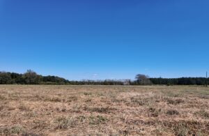 Property photo for land for sale in Duplin County North Carolina