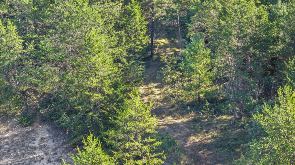 cfb094c7-5959-4594-9ced-05f6471cda66.jpg