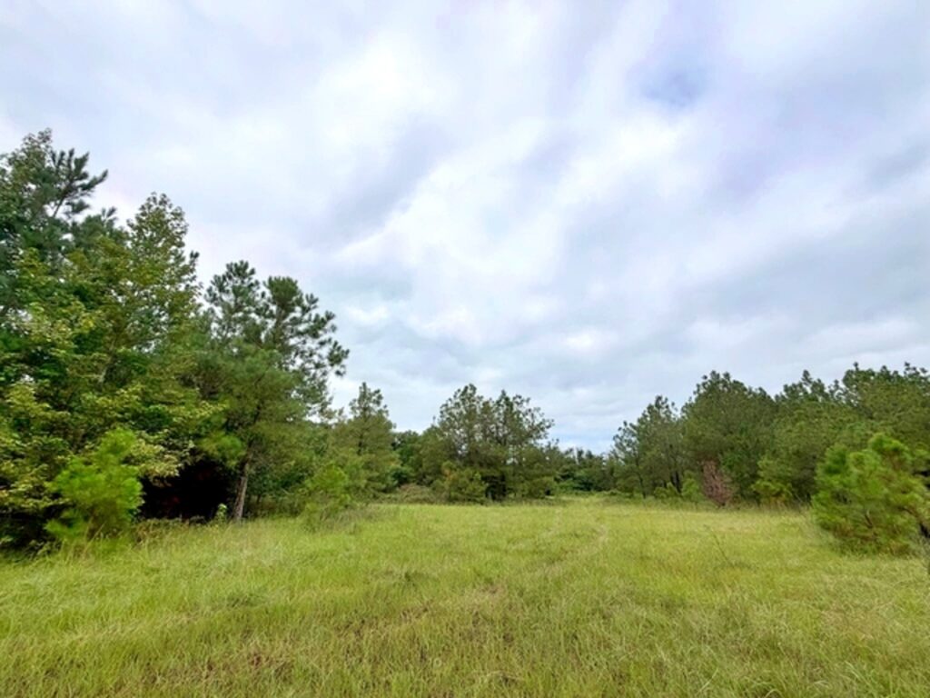 Property photo for land for sale in Chesterfield County South Carolina