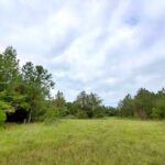 Property photo for land for sale in Chesterfield County South Carolina