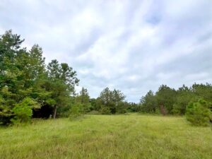 Property photo for land for sale in Chesterfield County South Carolina
