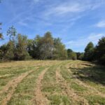 Property photo for land for sale in Floyd County Virginia