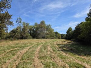 Property photo for land for sale in Floyd County Virginia