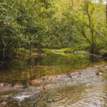 Property photo for land for sale in Hawkins County Tennessee