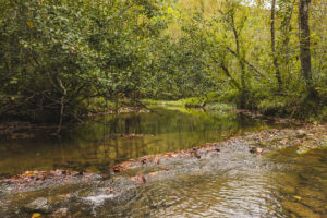 Property photo for land for sale in Hawkins County Tennessee