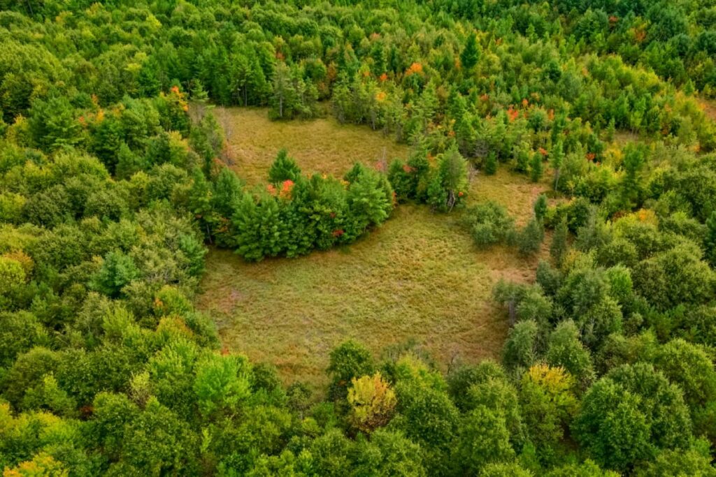 Property photo for land for sale in Eau Claire County Wisconsin