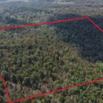 Property photo for land for sale in Izard County Arkansas
