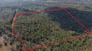 Property photo for land for sale in Izard County Arkansas