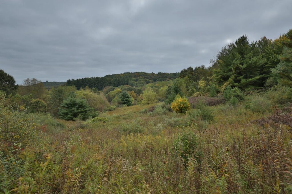 d713b92a-c20d-4d16-85a8-0681ee0dfad2.jpg