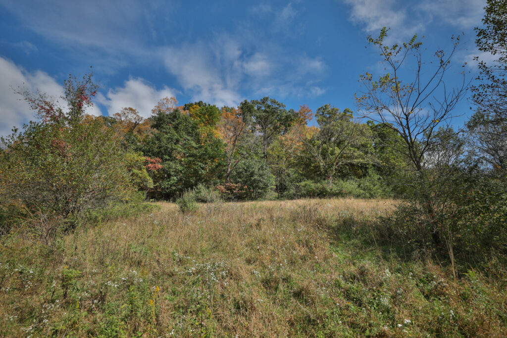 d79b17ac-6d44-4052-b8aa-289381ed4ebd.jpg