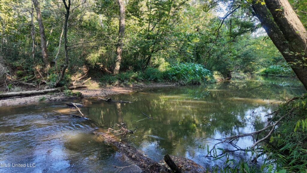 Property photo for land for sale in Amite County Mississippi