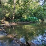 Property photo for land for sale in Amite County Mississippi