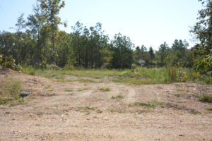 Property photo for land for sale in Decatur County Tennessee