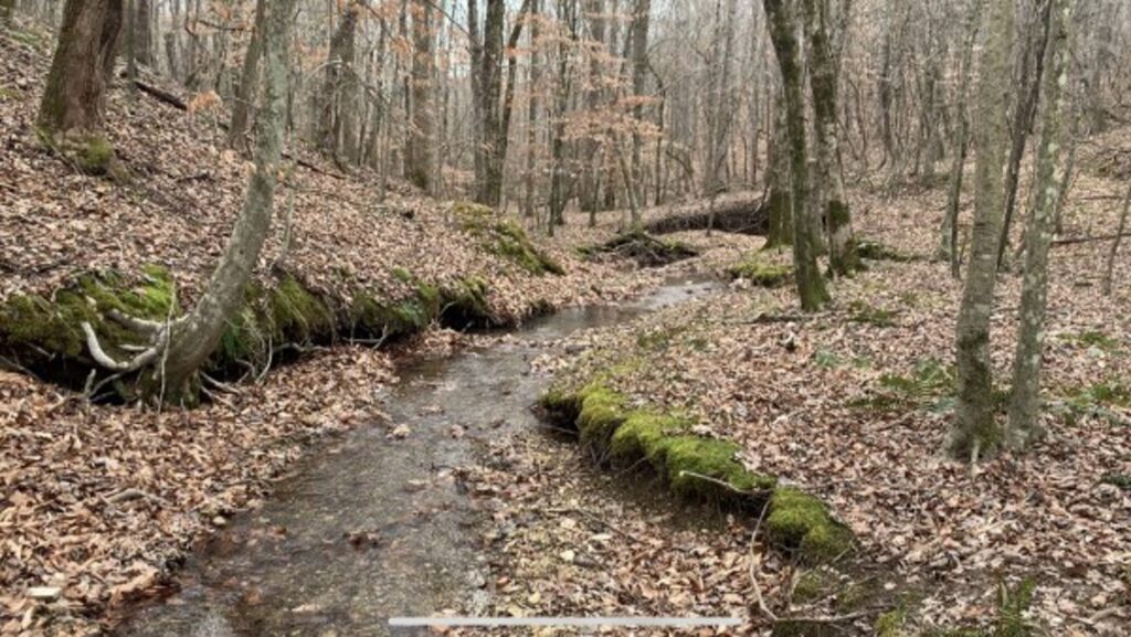 Property photo for land for sale in Lawrence County Tennessee