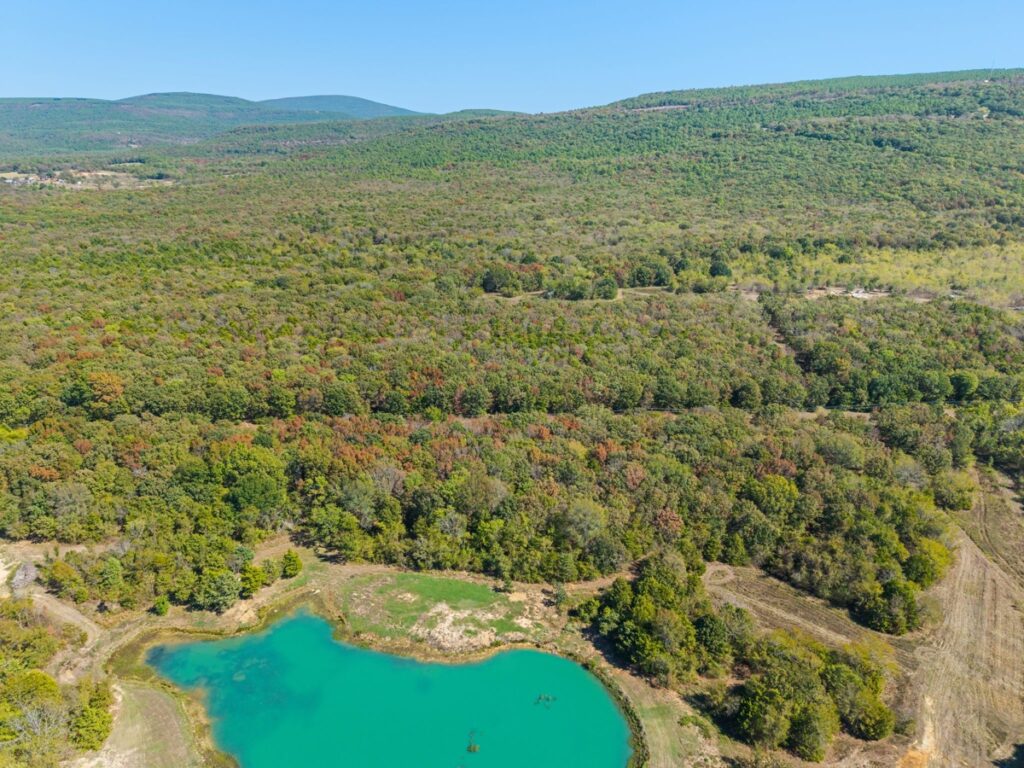 dac488f9-6cda-45fe-bdc9-7f3888676948.jpg