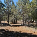 Property photo for land for sale in Modoc County California