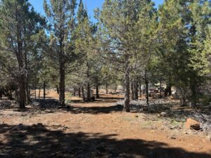 Property photo for land for sale in Modoc County California