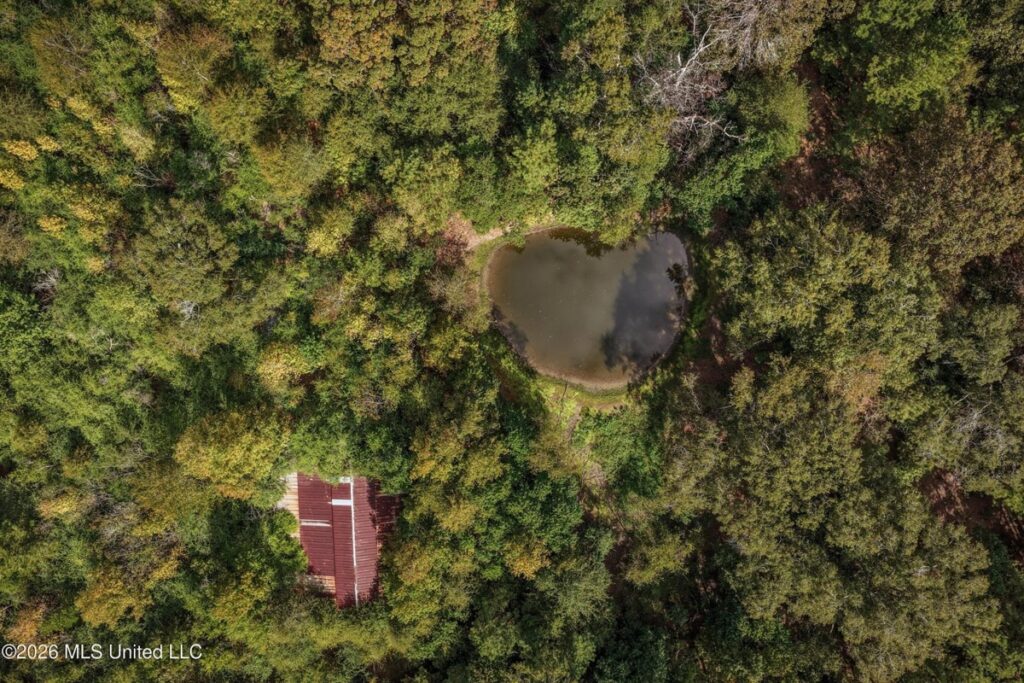 Property photo for land for sale in Pike County Mississippi