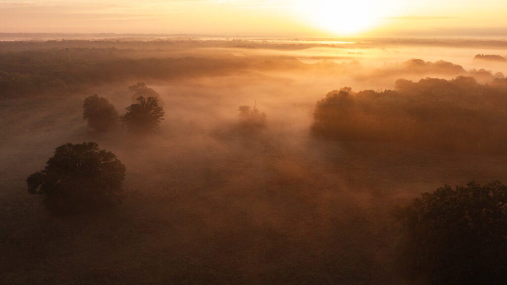 ddd4eeb6-bd0f-4be2-bba2-b19b9a61a8a5.jpg