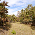 Property photo for land for sale in Creek County Oklahoma