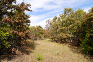 Property photo for land for sale in Creek County Oklahoma