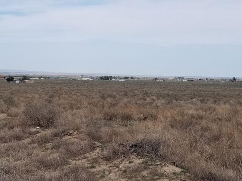 df45e313-6654-4403-8c9d-b312781794d4.jpg