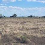 Property photo for land for sale in Torrance County New Mexico