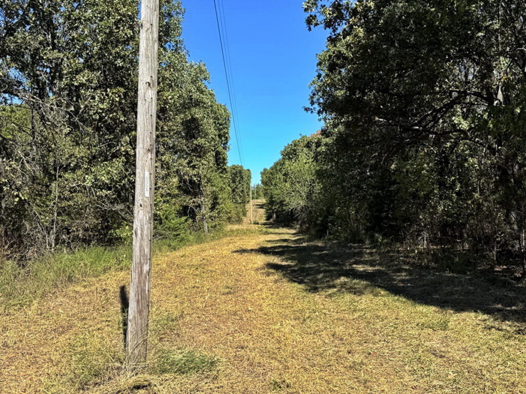 e2444093-5476-45b7-952a-b8b07ab40c90.jpg