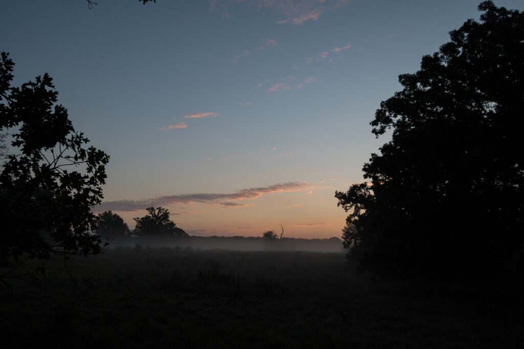 e5682b7d-eab3-487e-943c-86f0e767b187.jpg