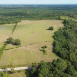 Property photo for land for sale in Cass County Texas