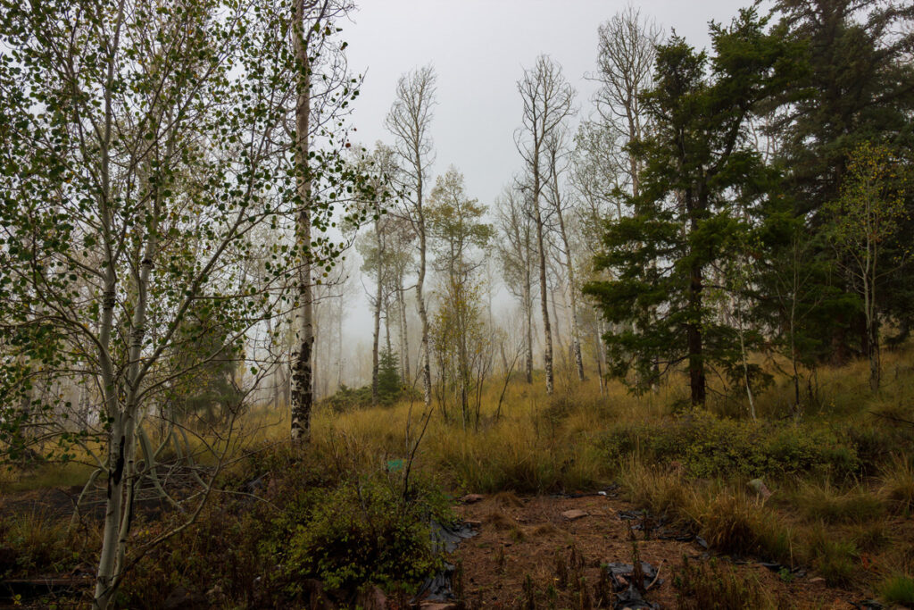 e6694aea-e356-4ac3-ac7b-cfbb42450663.jpg
