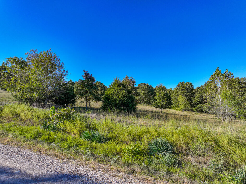 e789ec55-82f3-4f1f-b147-dad45c0fb93f.jpg