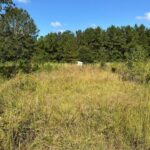 Property photo for land for sale in Amite County Mississippi