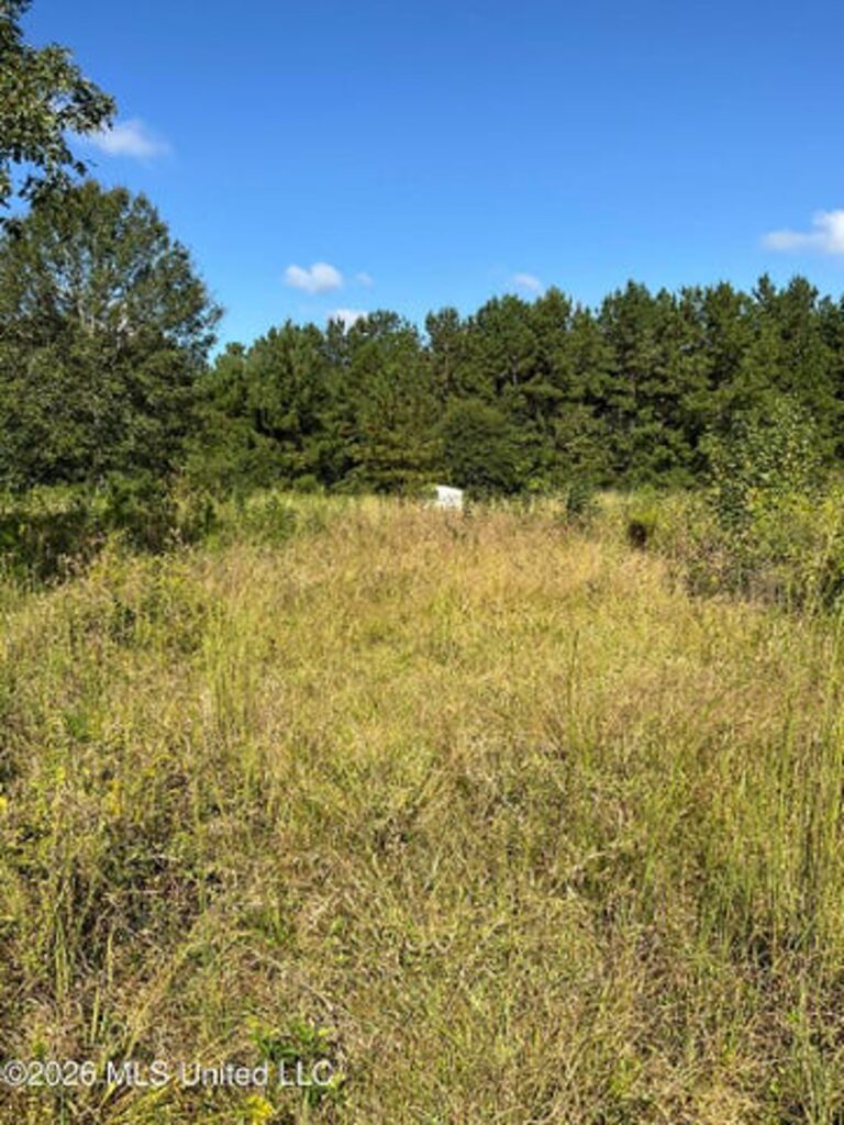 Property photo for land for sale in Amite County Mississippi