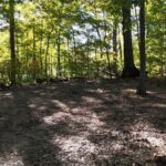 Property photo for land for sale in Monroe County Indiana