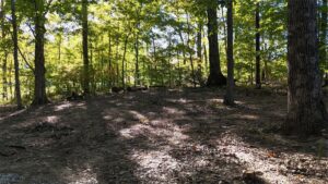 Property photo for land for sale in Monroe County Indiana