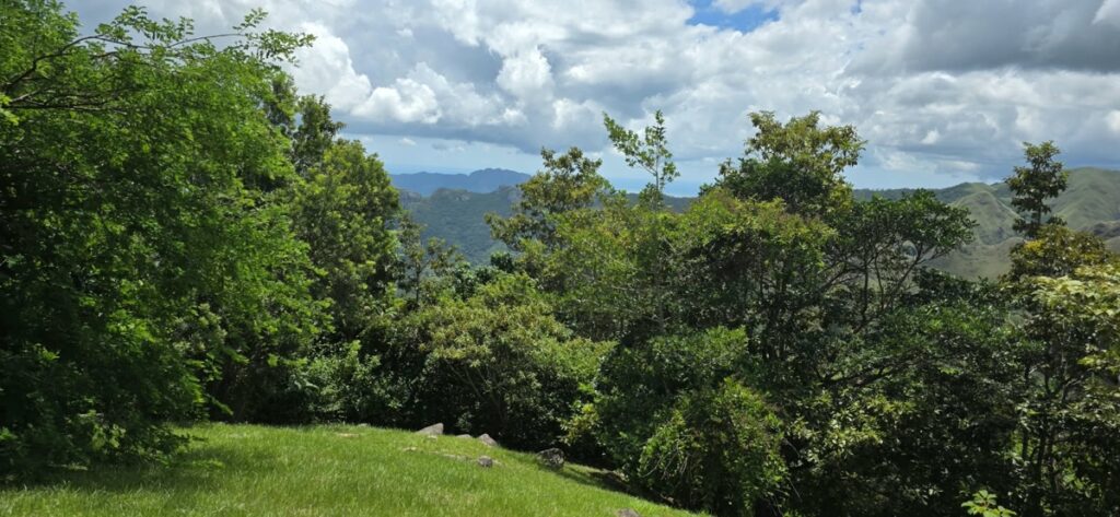 Property photo for land for sale in County Panama