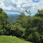Property photo for land for sale in  County Panama