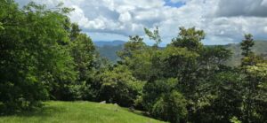 Property photo for land for sale in  County Panama