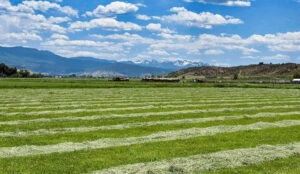 Property photo for land for sale in Montrose County Colorado
