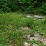 Property photo for land for sale in St. Clair County Missouri
