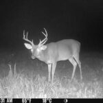 Property photo for land for sale in Amite County Mississippi