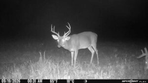 Property photo for land for sale in Amite County Mississippi