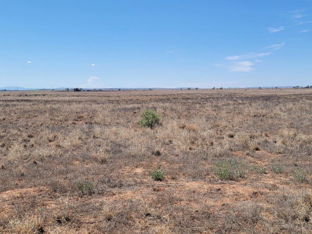 Property photo for land for sale in Torrance County New Mexico