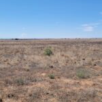 Property photo for land for sale in Torrance County New Mexico